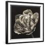 Tulipana Still-Assaf Frank-Framed Giclee Print