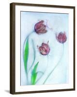 Tulipanes Rojos-Moises Levy-Framed Photographic Print