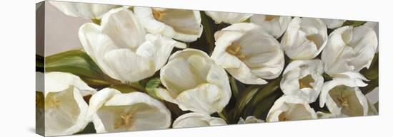 Tulipani Bianchi-Leonardo Sanna-Stretched Canvas