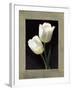 Tulipani bianchi-Andrea Trivelli-Framed Art Print