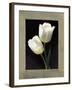 Tulipani bianchi-Andrea Trivelli-Framed Art Print