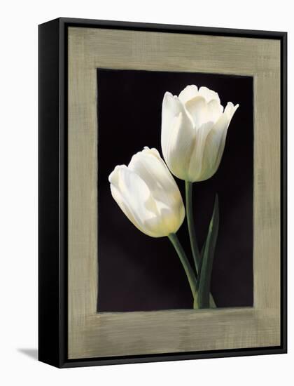 Tulipani bianchi-Andrea Trivelli-Framed Stretched Canvas