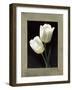 Tulipani bianchi-Andrea Trivelli-Framed Art Print