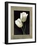 Tulipani bianchi-Andrea Trivelli-Framed Art Print