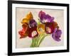 Tulipani danzanti-Teo Rizzardi-Framed Art Print