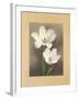 Tulipani-Andrea Trivelli-Framed Art Print