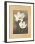 Tulipani-Andrea Trivelli-Framed Art Print