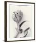 Tulipano Botanica Embrace-Bill Philip-Framed Premium Giclee Print