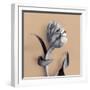 Tulipano Cantaloupe-Bill Philip-Framed Giclee Print