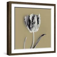 Tulipano Olive-Bill Philip-Framed Giclee Print