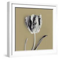 Tulipano Olive-Bill Philip-Framed Giclee Print