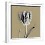 Tulipano Olive-Bill Philip-Framed Giclee Print