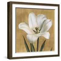 Tulipano-Andrea Trivelli-Framed Art Print