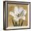 Tulipano-Andrea Trivelli-Framed Art Print