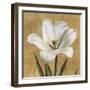 Tulipano-Andrea Trivelli-Framed Art Print