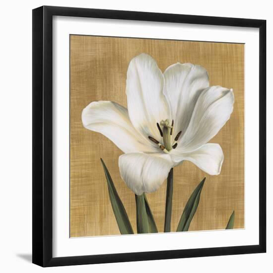 Tulipano-Andrea Trivelli-Framed Art Print