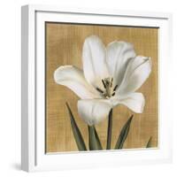 Tulipano-Andrea Trivelli-Framed Art Print