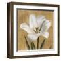 Tulipano-Andrea Trivelli-Framed Art Print