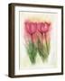 Tulipas 03-Maria Trad-Framed Giclee Print