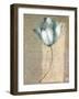 Tulipe Bleue I-Philippe Paput-Framed Art Print