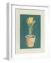 Tulipe Jaspé-Laurence David-Framed Art Print