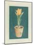 Tulipe Jaspé-Laurence David-Mounted Art Print