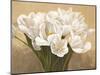 Tulipes Blanches-Leonardo Sanna-Mounted Art Print