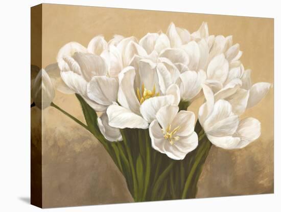 Tulipes Blanches-Leonardo Sanna-Stretched Canvas