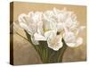 Tulipes Blanches-Leonardo Sanna-Stretched Canvas