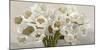 Tulipes blanches-Leonardo Sanna-Mounted Art Print