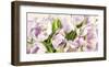 Tulipes en Fleur-Luca Villa-Framed Art Print