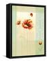 Tulipes et coquelicots II-Geneviève Boulez-Framed Stretched Canvas