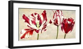 Tulipes Royales-Luca Villa-Framed Art Print