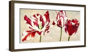 Tulipes Royales-Luca Villa-Framed Art Print