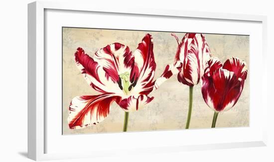 Tulipes Royales-Luca Villa-Framed Art Print