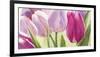 Tulipes-Leonardo Sanna-Framed Art Print