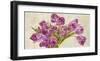 Tulipes-Leonardo Sanna-Framed Art Print