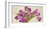 Tulipes-Leonardo Sanna-Framed Art Print