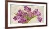 Tulipes-Leonardo Sanna-Framed Art Print