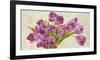 Tulipes-Leonardo Sanna-Framed Art Print