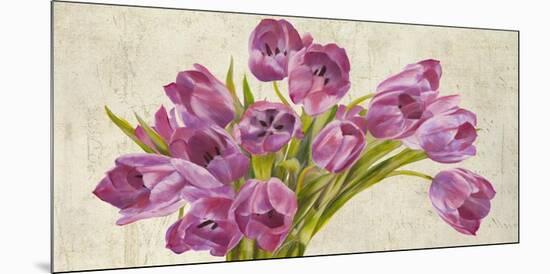 Tulipes-Leonardo Sanna-Mounted Art Print