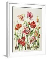 Tulips 1601-Janneke Brinkman-Salentijn-Framed Giclee Print