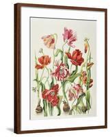 Tulips 1601-Janneke Brinkman-Salentijn-Framed Giclee Print