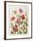 Tulips 1601-Janneke Brinkman-Salentijn-Framed Giclee Print