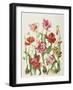 Tulips 1601-Janneke Brinkman-Salentijn-Framed Giclee Print