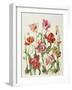 Tulips 1601-Janneke Brinkman-Salentijn-Framed Giclee Print