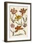 Tulips, 1842-John Hill-Framed Giclee Print