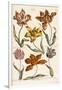 Tulips, 1842-John Hill-Framed Giclee Print