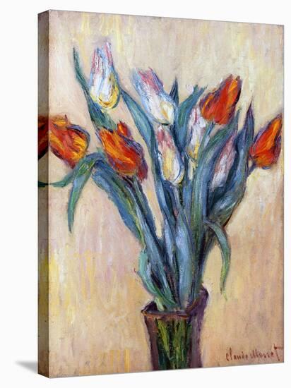 Tulips, 1885-Claude Monet-Stretched Canvas