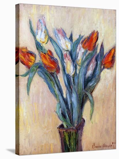 Tulips, 1885-Claude Monet-Stretched Canvas